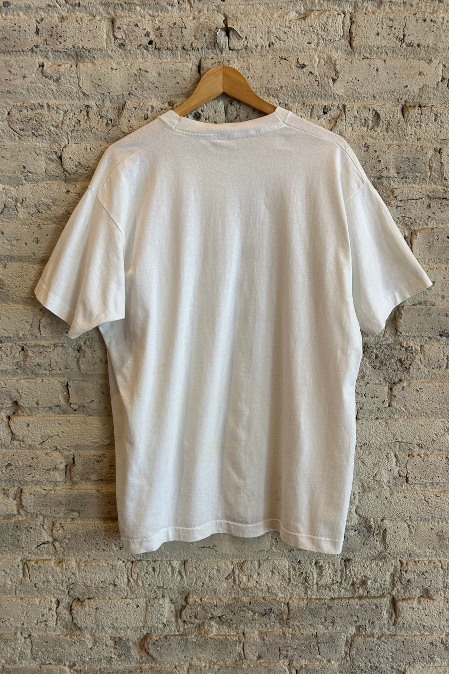 Wesley Supply Co 1990's Vote Dump the Incumbents T-Shirt in White - Notre