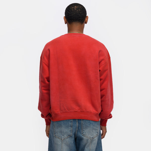 Nigel Sylvester Bike Air Crewneck in Cinnabar