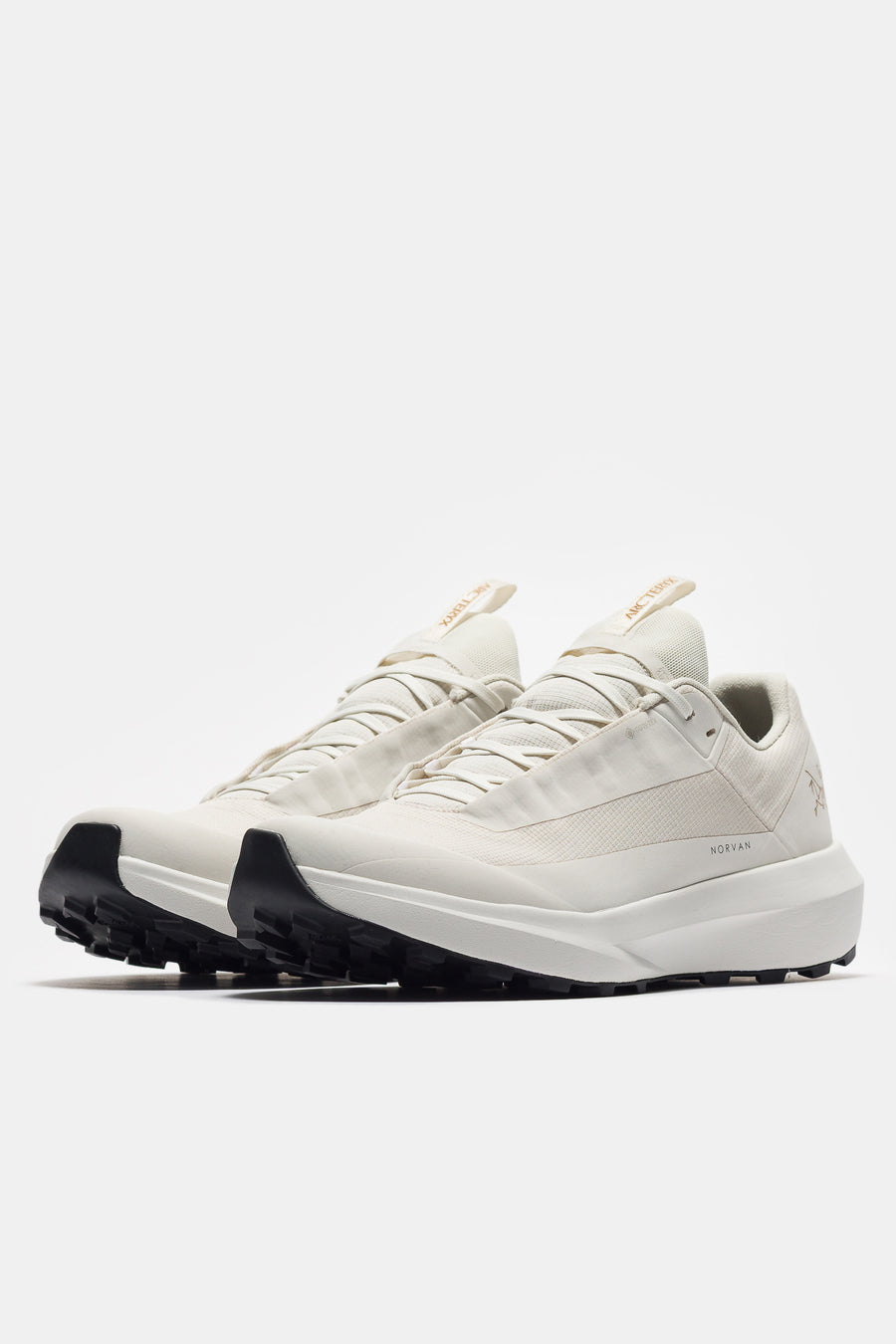 Arc'teryx Norvan LD 4 Gore-Tex Sneaker in Arctic Silk/Arctic Silk - Notre