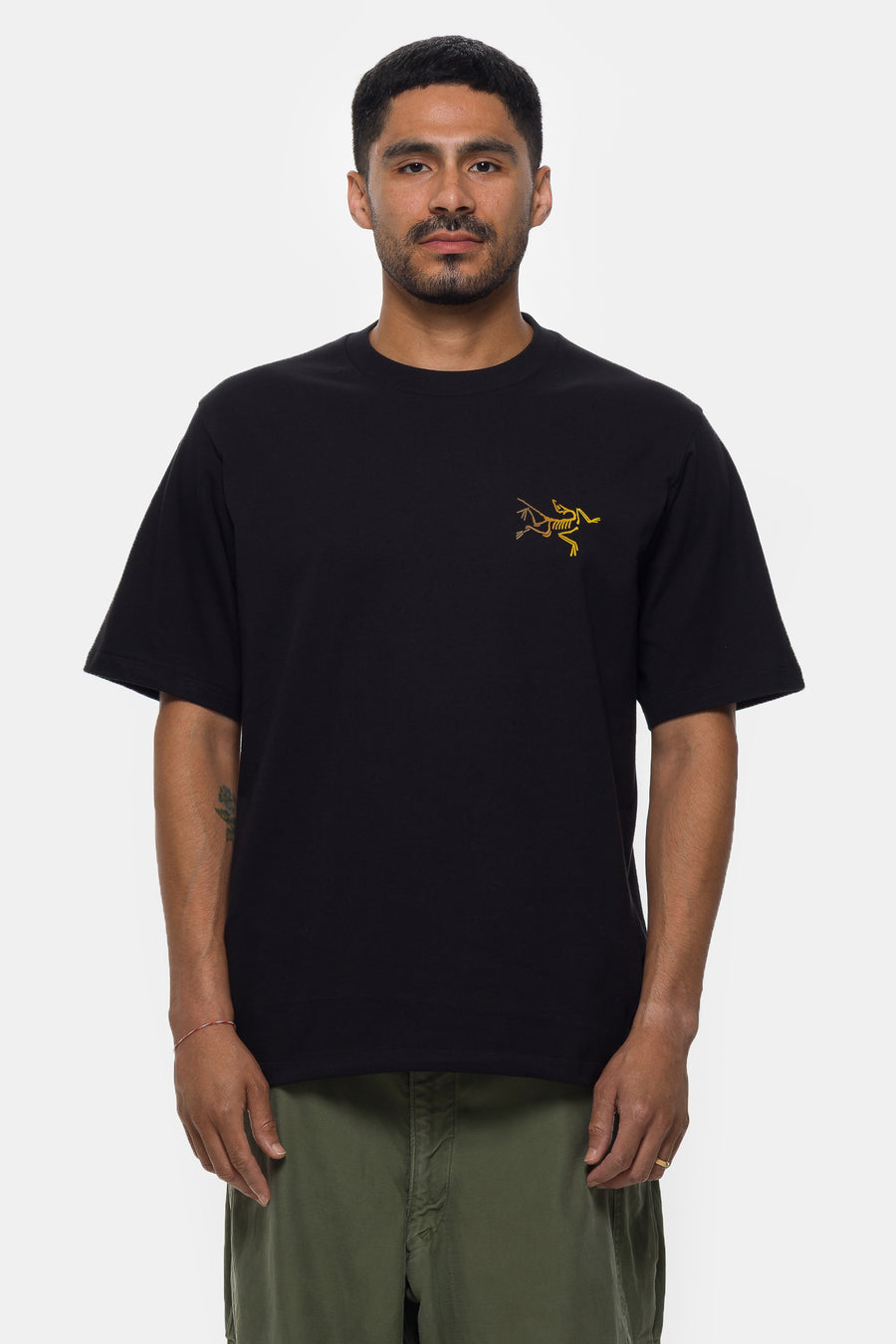 Arc'teryx Kragg Cotton Logo 24K T-Shirt in Black - Notre