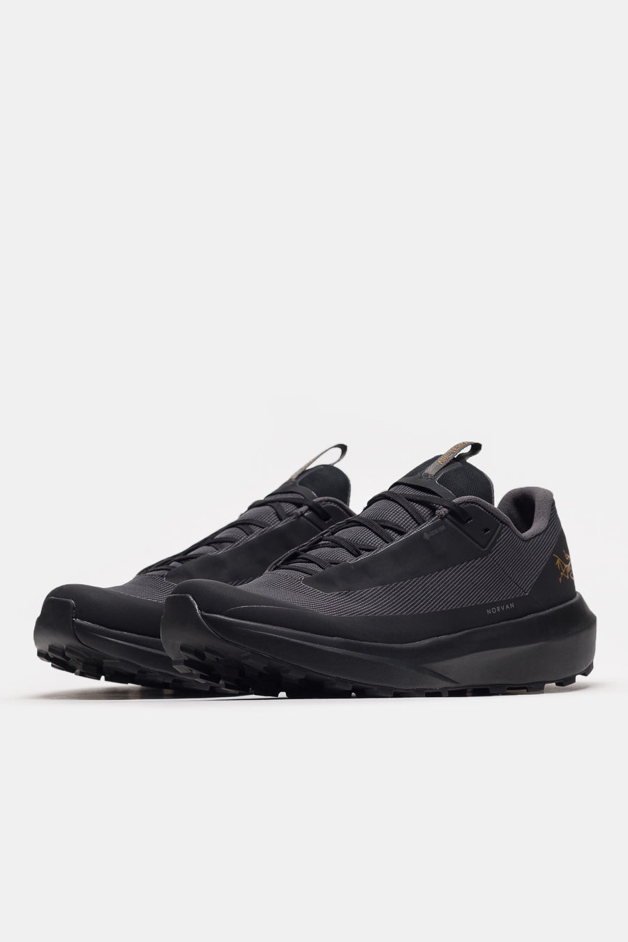 Arc'teryx Norvan LD 4 Gore-Tex Sneaker in Black/Black - Notre