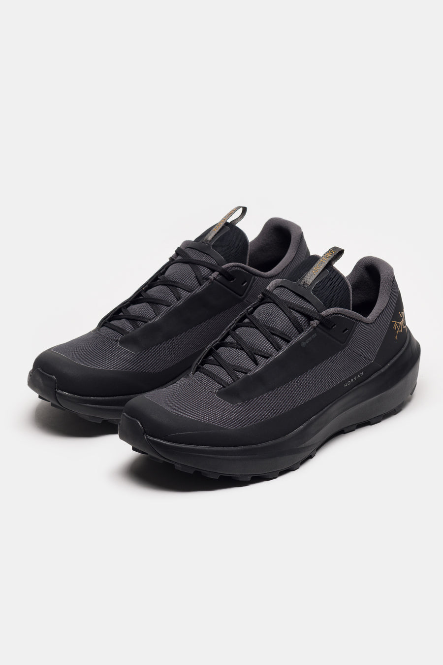 Arc'teryx Norvan LD 4 Gore-Tex Sneaker in Black/Black - Notre