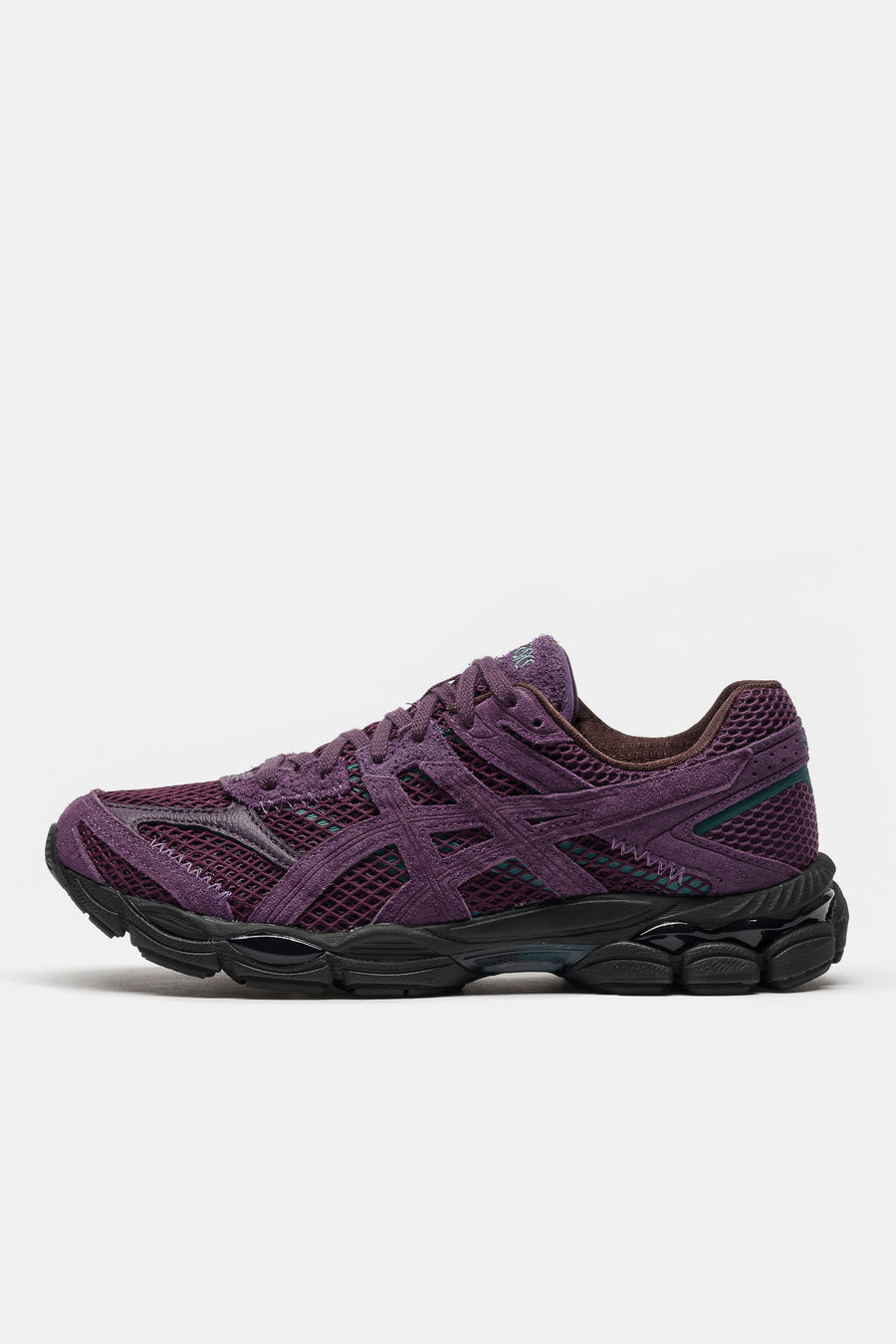 ASICS Carnan Gel-Cumulus 16 Sneaker in Blackberry/Purple - Notre