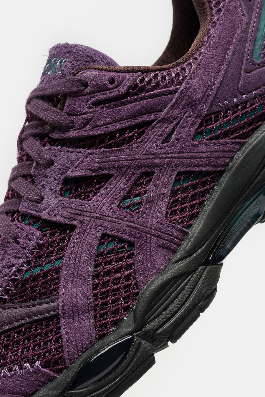 ASICS Carnan Gel-Cumulus 16 Sneaker in Blackberry/Purple - Notre