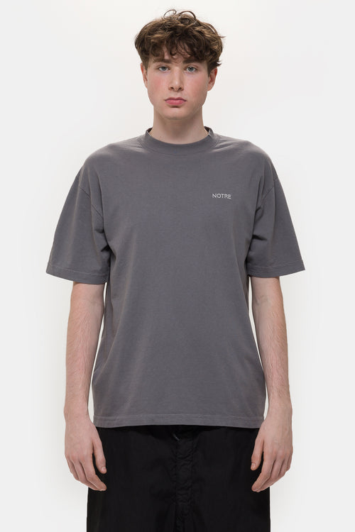 WHAT DOES NOTRE MEAN visual data 2