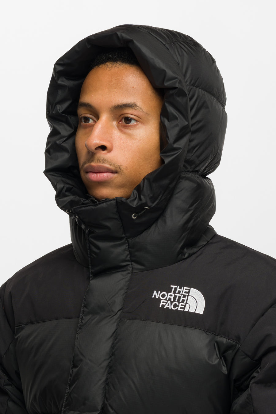 The North Face HMLYN Down Parka in TNF Black - Notre