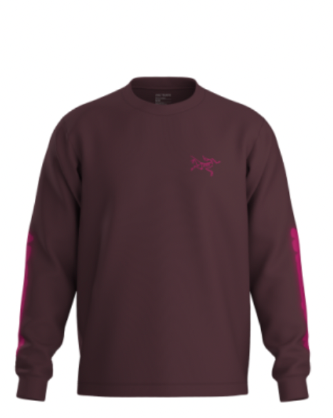 Arc'teryx Kragg Cotton Dream State LS T-Shirt in Ultima/Renegade - Notre